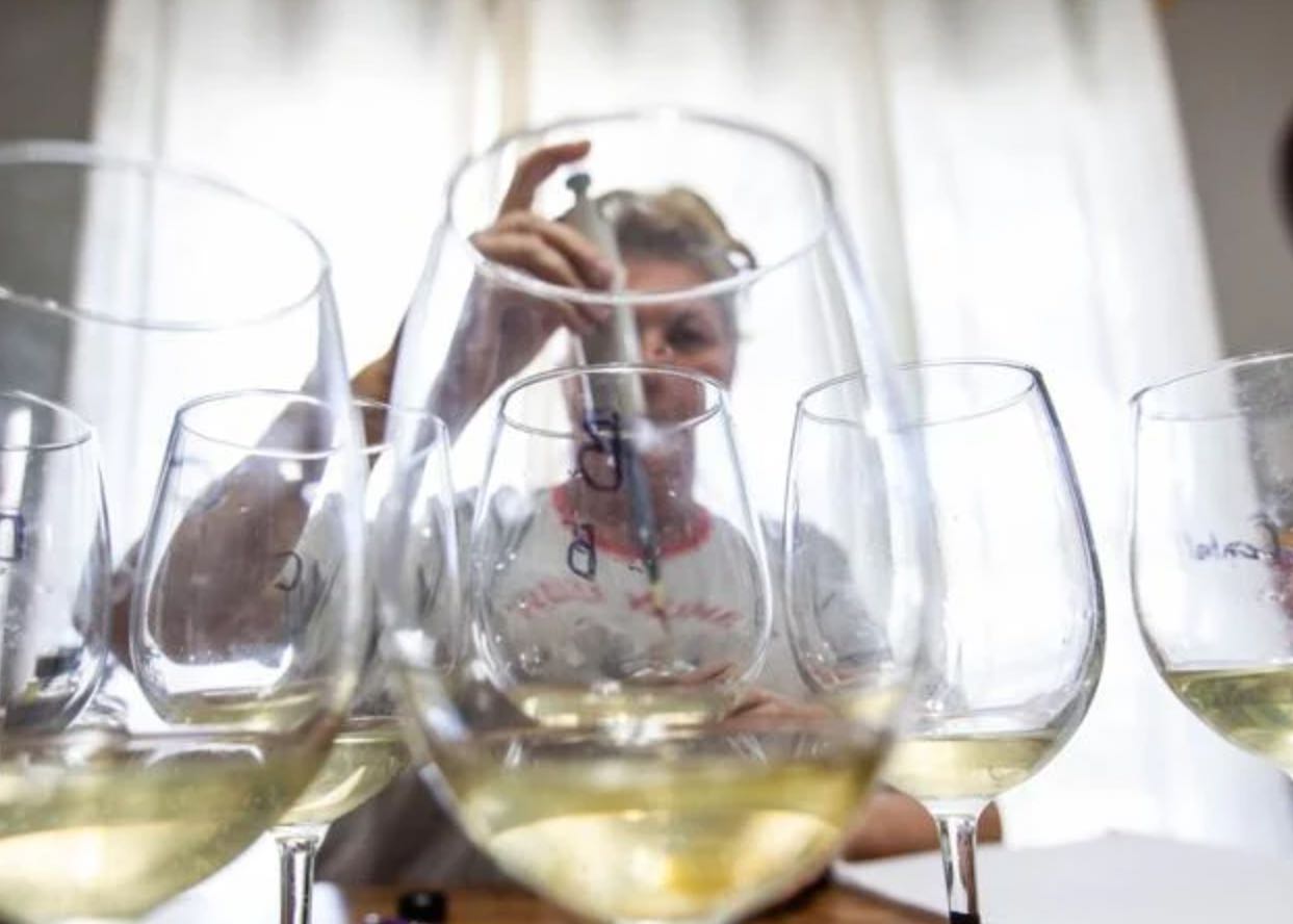 Colorado Amateurs Making Great Wine on a Smaller Scale (The Daily