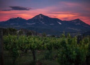 View from Stone Cottage Cellars